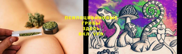 прущая мука Белокуриха