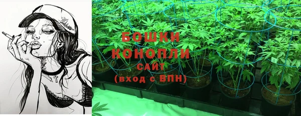 прущая мука Белокуриха