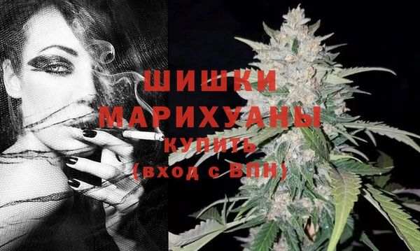 эйфоретик Беломорск
