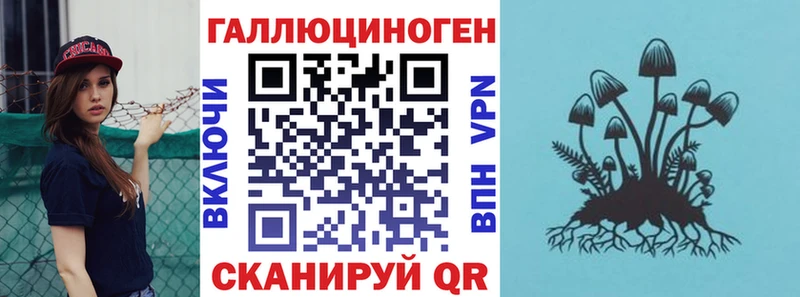 Псилоцибиновые грибы Cubensis Высоковск